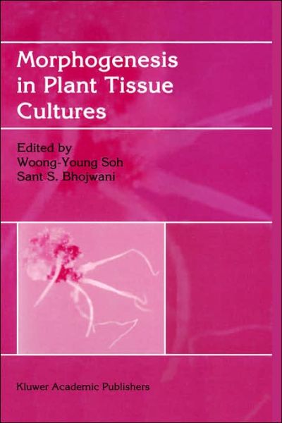 Cover for Woong Y Soh · Morphogenesis in Plant Tissue Cultures (Hardcover Book) [2000 edition] (1999)