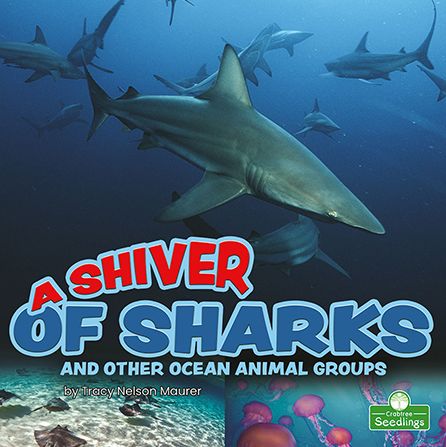 A Shiver of Sharks and Other Ocean Animal Groups - Tracy Nelson Maurer - Books - Crabtree Seedlings - 9781039661820 - September 1, 2022