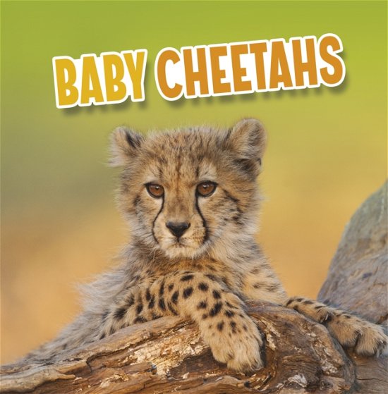 Cover for Martha E. H. Rustad · Baby Cheetahs - Baby Animals (Paperback Book) (2023)