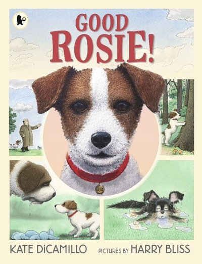 Cover for Kate DiCamillo · Good Rosie! (Paperback Book) (2019)