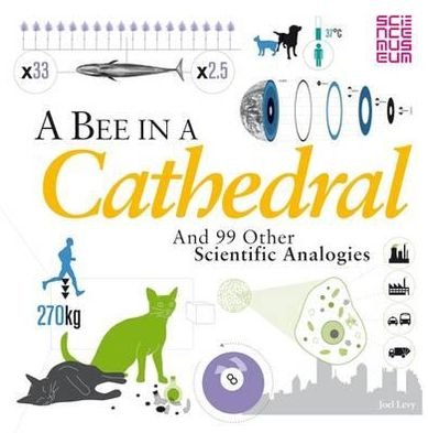 A Bee in a Cathedral: And 99 other scientific analogies - Joel Levy - Bøger - Bloomsbury Publishing PLC - 9781408171820 - 13. september 2012