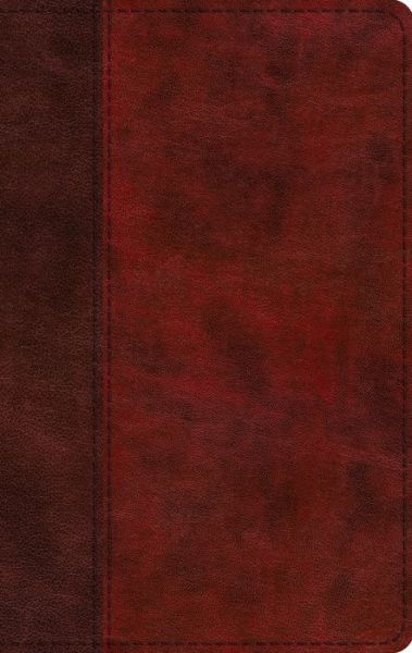 Cover for ESV Large Print Thinline Bible (Skinnbok) (2020)