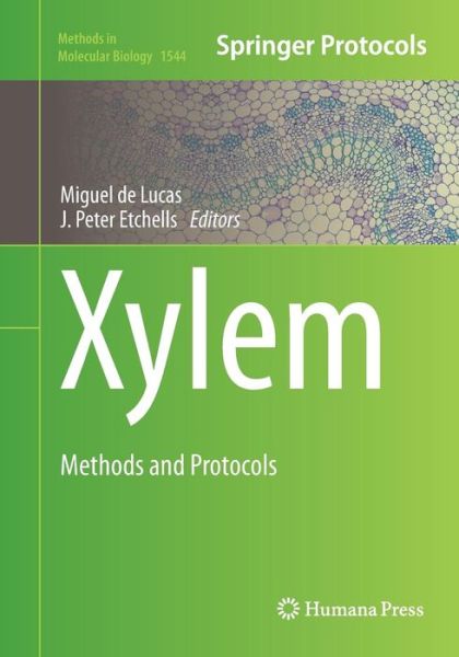 Cover for Xylem: Methods and Protocols - Methods in Molecular Biology (Paperback Book) [Softcover reprint of the original 1st ed. 2017 edition] (2018)