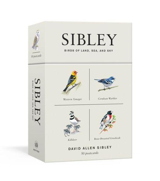 Cover for David Allen Sibley · Sibley Birds of Land, Sea, and Sky: 50 Postcards (Postcard) (2018)