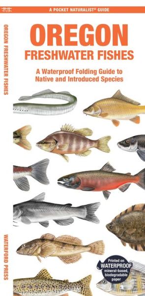 Cover for Waterford Press · Oregon Freshwater Fishes: A Folding Guide to Native and Introduced Species - Pocket Naturalist Guide (Pamphlet) (2024)