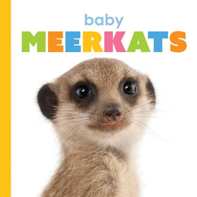 Cover for Kate Riggs · Baby Meerkats (Paperback Book) (2020)