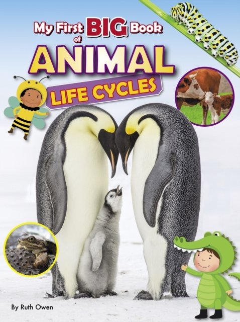 My First BIG Book of Animal LIfe Cycles - My First BIG Book of - Ruth Owen - Bücher - Ruby Tuesday Books Ltd - 9781788565820 - 26. September 2024