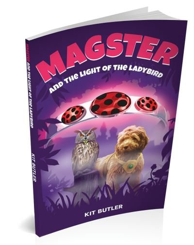 Cover for Kit Butler · Magster and the Light of the Ladybird (Pocketbok) (2022)