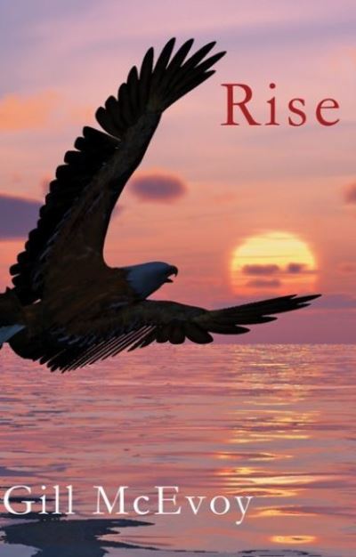 Cover for Gill McEvoy · Rise (Paperback Book) (2013)