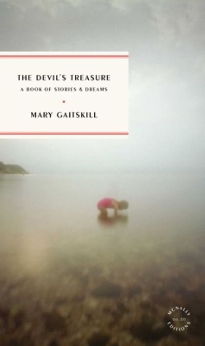 Cover for Mary Gaitskill · Devil's Treasure (Buch) (2023)