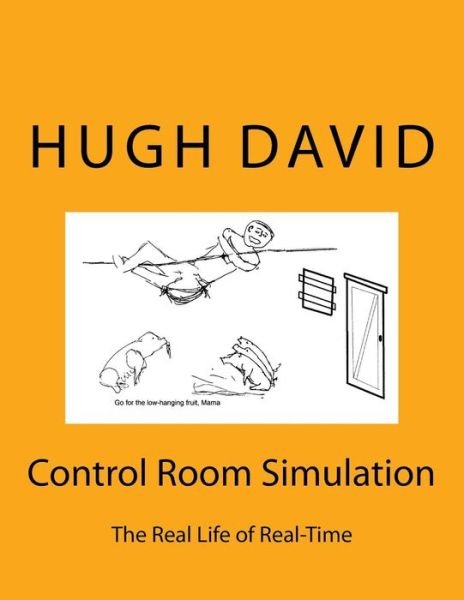 Cover for Hugh David · Control Room Simulation (Pocketbok) (2017)