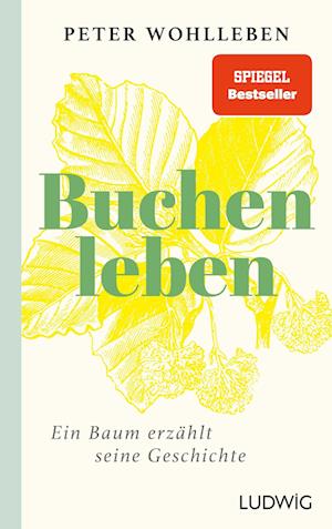 Cover for Peter Wohlleben · Sonderedition: Buchenleben (Book) (2024)