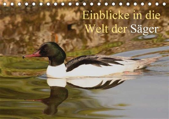 Cover for Erlwein · Einblicke in die Welt der Säger (Book)