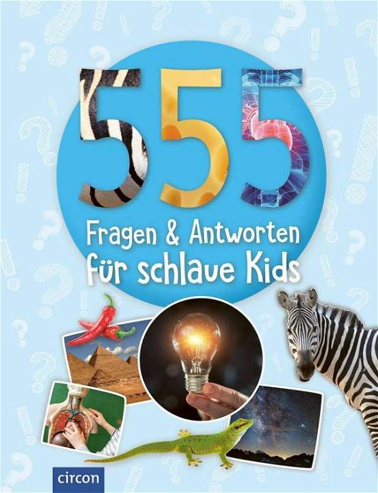 Cover for Fritz · 555 Fragen &amp; Antworten für schlau (Bok)