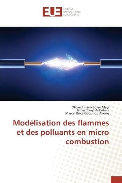 Cover for Sosso Mayi Olivier Thierry · Modelisation Des Flammes et Des Polluants en Micro Combustio (Pocketbok) (2018)