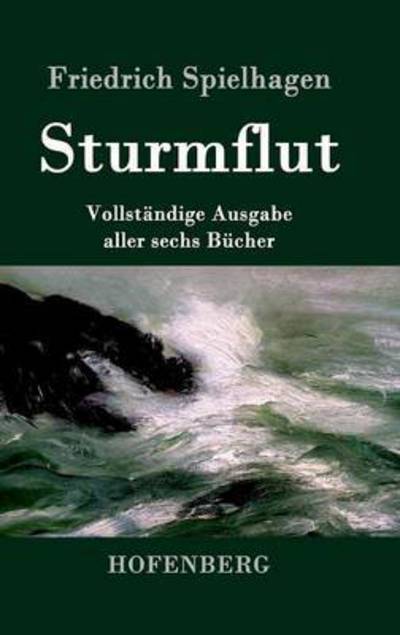 Cover for Friedrich Spielhagen · Sturmflut (Hardcover Book) (2015)