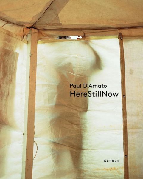 Cover for Paul D'Amato · Here / Still / Now (Gebundenes Buch) (2018)