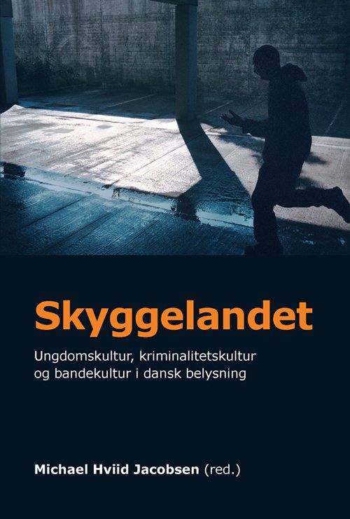 Cover for Hviid Jacobsen Michael · University of Southern Denmark Studies in History and Social Sciences: Skyggelandet (Book) [1st edition] (2012)