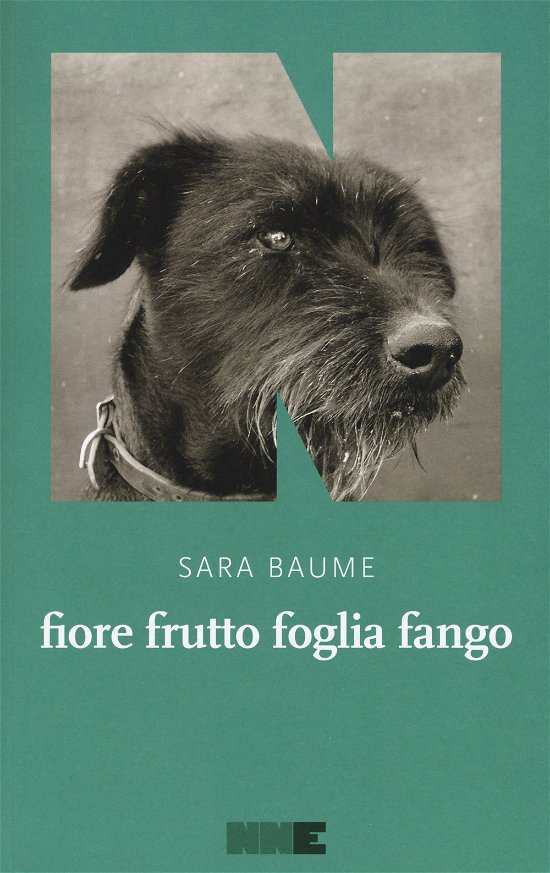 Cover for Sara Baume · Fiore Frutto Foglia Fango (Buch)