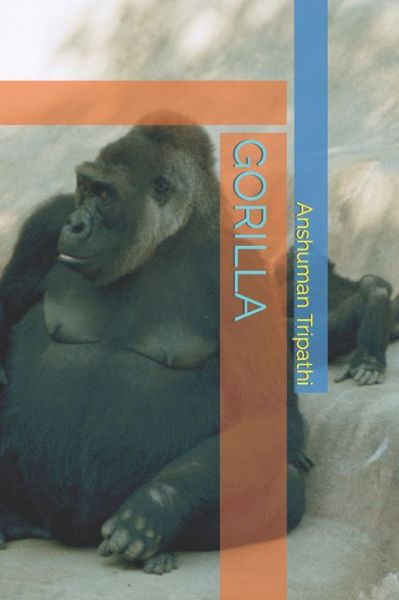 Cover for Anshuman Tripathi · Gorilla (Paperback Book) (2022)