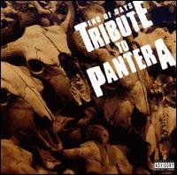 Pantera Tribute - End Of Days - Pantera - Musikk - CRASK - 0027297721821 - 18. november 2008