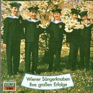 Cover for Wiener S · Ihre Grossen Erfolge (CD)