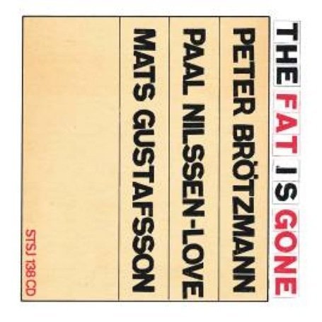 Cover for Peter Brötzmann, Paal Nilssen-love &amp; Mat · The Fat is Gone (CD) (2007)