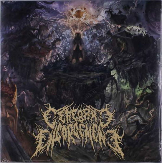 Cover for Cerebral Engorgement · Cerebral Chronicles (LP) (2019)