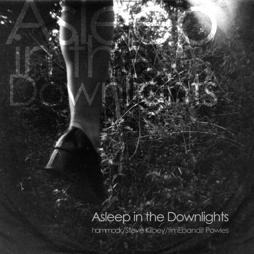 Cover for Hammock · Asleep in the Downlights (CD) [Digipak] (2011)