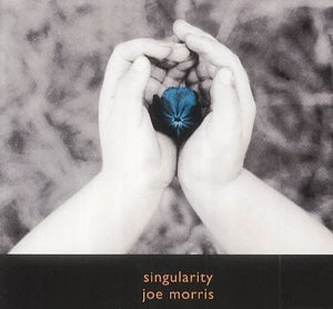 Joe Morris · Singularity (CD) (2001)