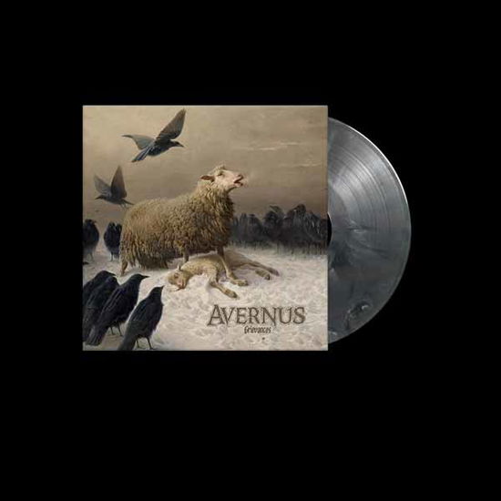 Cover for Avernus · Grievances  (Black Ash Vinyl 2lp) (LP) (2024)