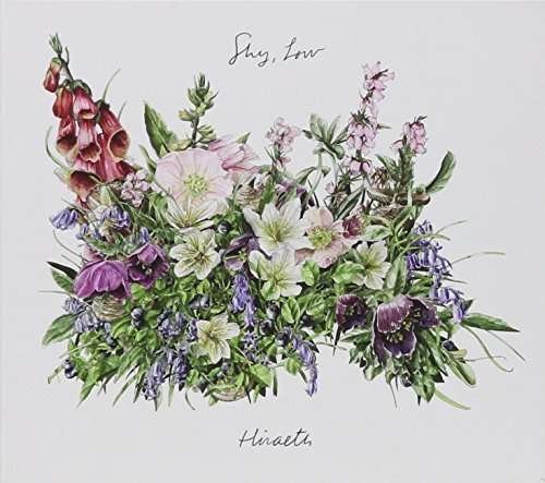 Cover for Low Shy · Hiraeth (CD) (2015)