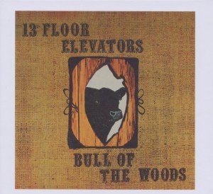 Cover for Thirteenth Floor Elevator · Thirteen Floor Elevators-bull of the Woods (CD) [Deluxe edition]