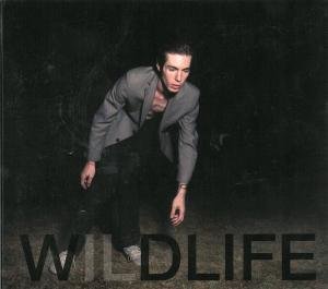 Cover for Icarus Line · Wildlife (CD) (2011)