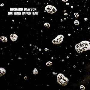 Cover for Richard Dawson · Nothing Important (CD) (2014)