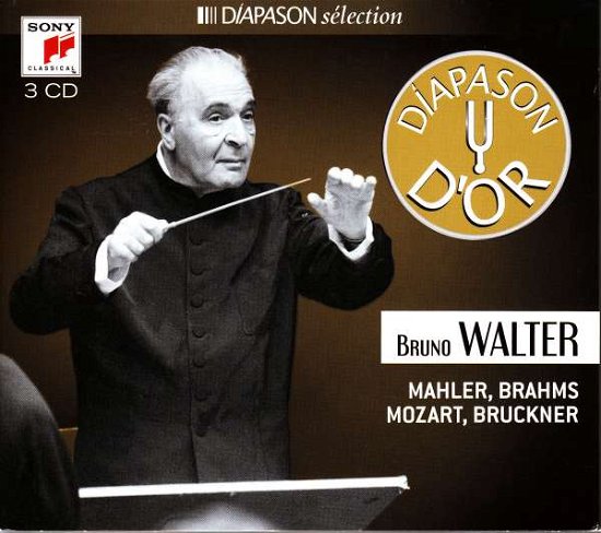 Cover for Bruno Walter (CD) (2015)