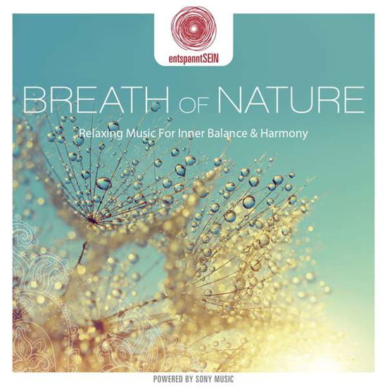 Entspanntsein Breath.. - Jones Davy - Musiikki - SONY MUSIC - 0888751987821 - maanantai 14. joulukuuta 2020
