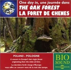Cover for Sounds of Nature · Oak Forest (CD) (2003)