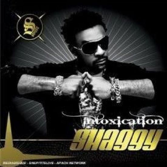 Shaggy - Intoxication - Shaggy - Music - PID - 3596971342821 - June 24, 2008