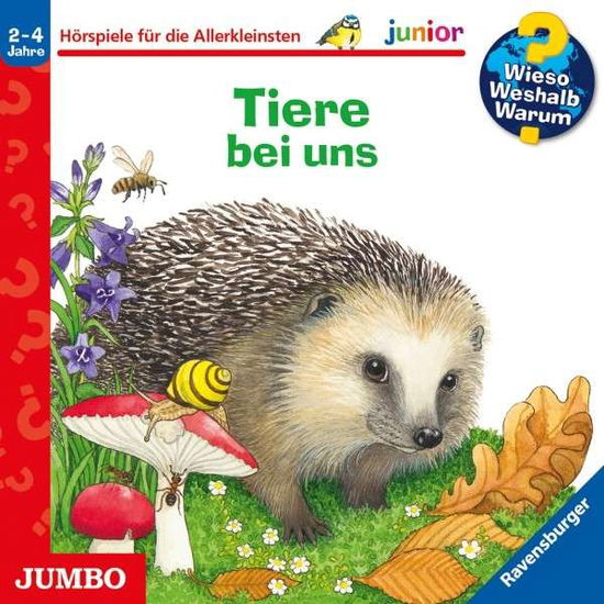 Tiere Bei Uns - Folge 33 - Www Junior - Musikk - Hoanzl - 4012144434821 - 6. august 2021