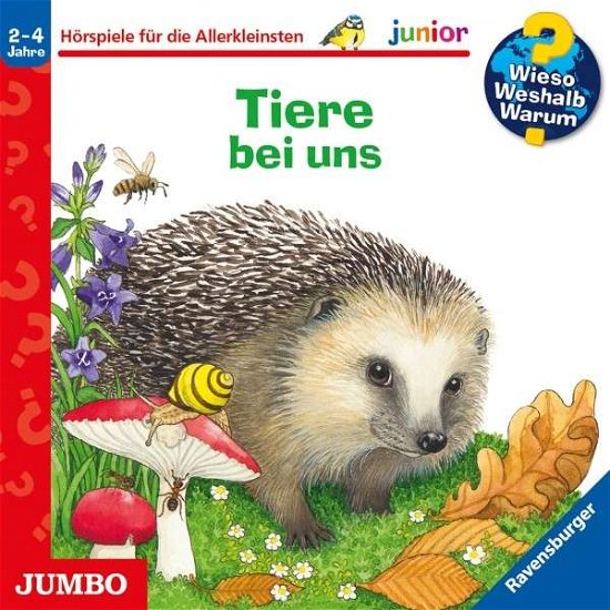 Cover for Wieso? Weshalb? Warum? · Junior Tiere Bei Uns (Folge 33) (CD) (2021)