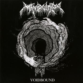 Voidbound - Manipulator - Música - SOULSELLER RECORDS - 4046661251821 - 12 de março de 2012
