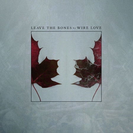 Cover for Wirelove · Leave The Bones (LP) (2018)