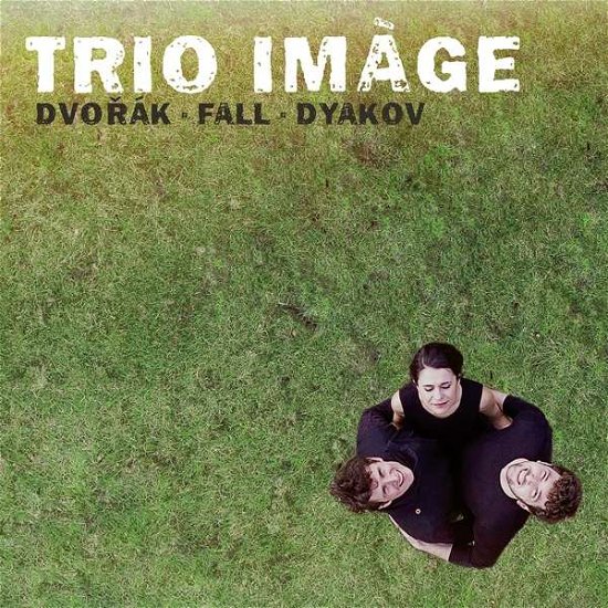 Cover for Trio Image · Dvorak, Fall &amp; Dyakov (CD) (2020)