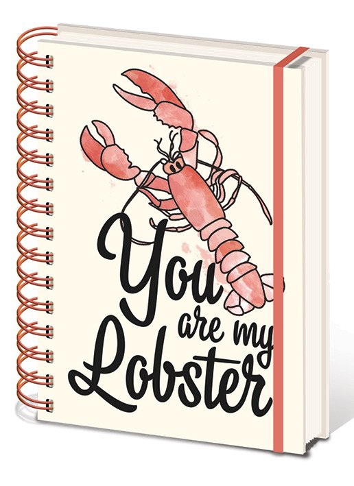Cover for A5 Notebooks · Friends: You Are My Lobster A5 Wiro Notebook (Quaderno) (MERCH) (2020)