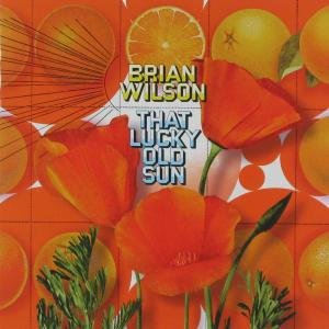 Cover for Brian Wilson · That Lucky Old Sun (Int Jewel Cd/ntsc Ve (CD/DVD) (2018)