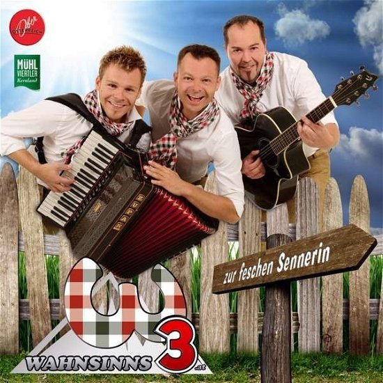 Auf Der Alm Da Gibt Es Keine Sünd - Wahnsinns 3 Die - Musik - TYROLIS - 9003549528821 - 7. maj 2013