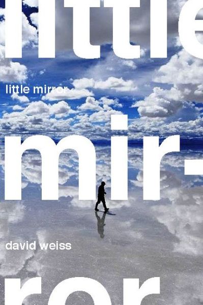 Cover for David Weiss · Little Mirror (Paperback Bog) (2021)