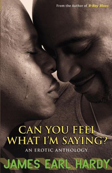 Cover for James Earl Hardy · Can You Feel What I'm Saying?: an Erotic Anthology (Pocketbok) (2012)