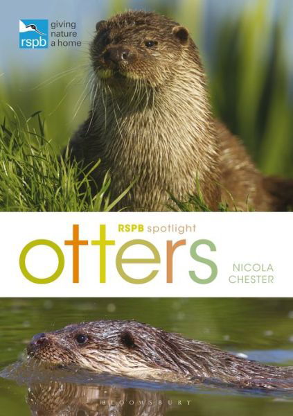 RSPB Spotlight: Otters - RSPB - Nicola Chester - Książki - Bloomsbury Publishing PLC - 9781472971821 - 16 maja 2019